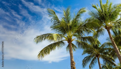 Generated image of palm tree on the coast © Alena Shelkovnikova