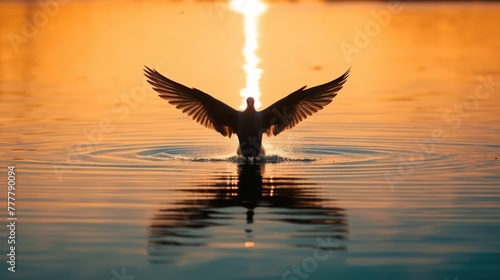Silhouette of spiritual pigeon bird flying over the sea with light of heaven reflection on the water.