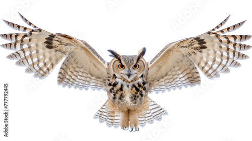 A large owl with its wings spread wide is flying in the air