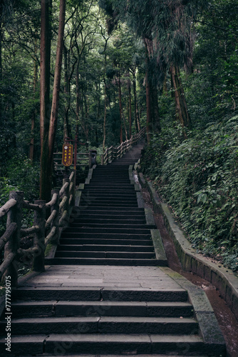 Zen stairwell 