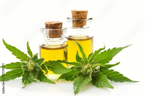 Two bottles of cannabis oil are displayed next to a leafy green plant