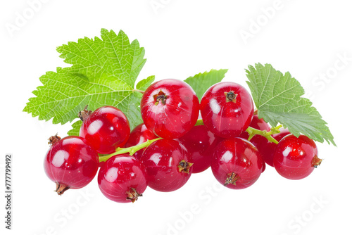 Redcurrant Berry isolated on transparent background