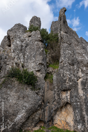 View on natural Monument Campo Soriano and olive trees, Lazio, Italy photo