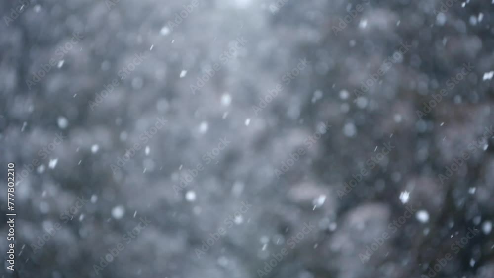 降雪(スローモーション) 降雪(スローモーション)