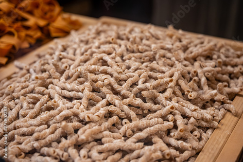 Italian food, dried handmade colorful pasta with walnuts, ready to cook, Milan, Lombardy, Italy