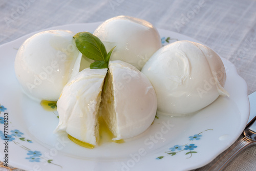 Cheese collection, white balls of soft Italian cheese mozzarella, served with olive oil, fresh basil leaves