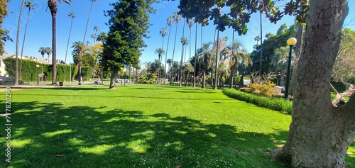 Vacaciones en el Estados Unidos, los ángeles, muelle de santa Mónica  photo