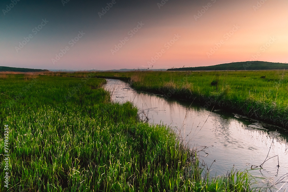 A small picturesque river among a green meadow during sunset. Small river in the countryside. Feeling of freedom, happiness, nostalgia. Tavrichanka, Primorsky Krai, Russia A small picturesque river among a green meadow during sunset. Small river in the countryside. Feeling of freedom, happiness, nostalgia. Tavrichanka, Primorsky Krai, Russia