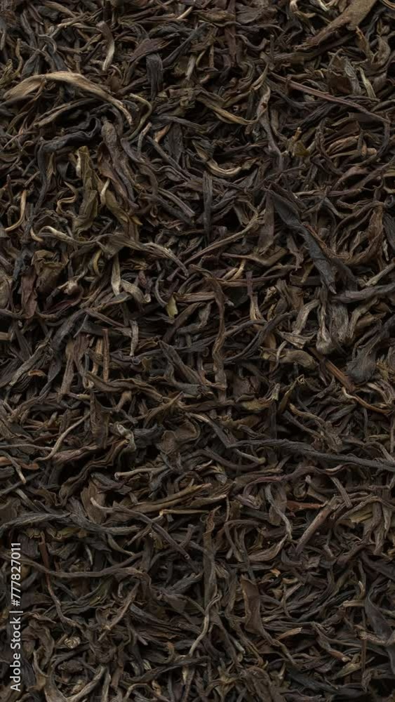 Close-up view of Chinese raw maturing (mao cha) green Pu Erh dried tea leaves as an abstract food background. Spin around center point. Vertical video. Close-up view of Chinese raw maturing (mao cha) green Pu Erh dried tea leaves as an abstract food background. Spin around center point. Vertical video.