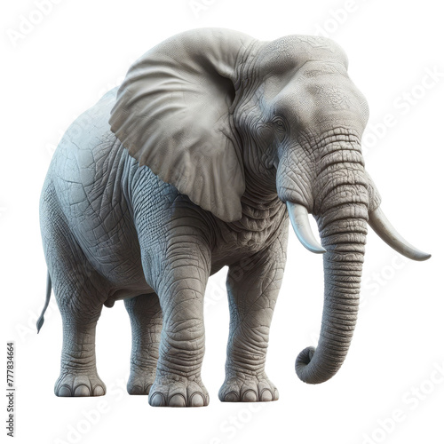 Isolated Wild Life on a Clear PNG Canvas  Generative AI