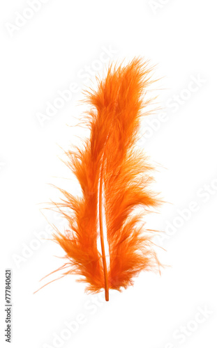 Fluffy beautiful orange feather isolated on white