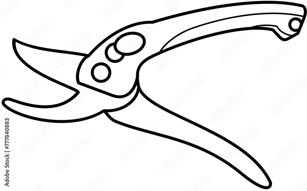 Obraz premium tools handtools Engineering pliers