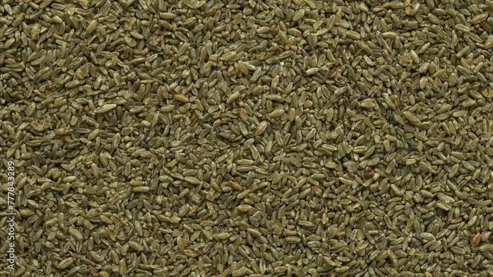 Top view of freekeh grains as an abstract food texture. The cereal made from immature, green, fire roasted wheat to make a healthy food high in protein and minerals. Table spin. Top view of freekeh grains as an abstract food texture. The cereal made from immature, green, fire roasted wheat to make a healthy food high in protein and minerals. Table spin.