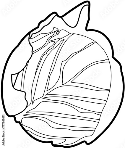 vegetable danish ballhead outline illustration photo