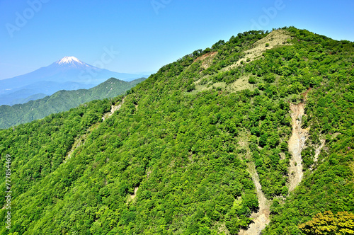 丹沢山地の丹沢山より 初夏の頃 富士山と丹沢主脈の山々を望む 