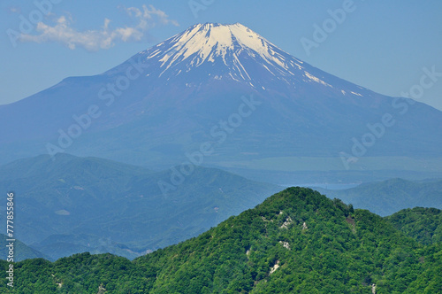 丹沢山地の不動ノ峰より望む富士山 
