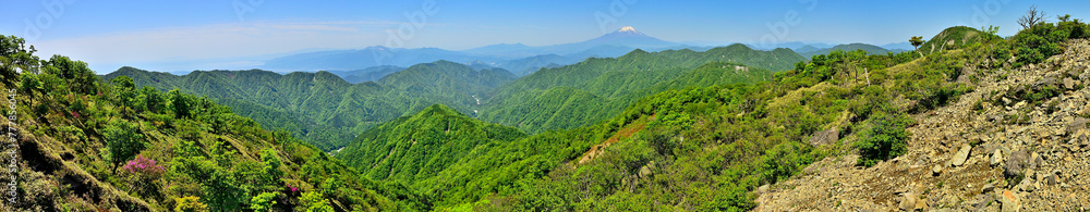 丹沢山地の不動ノ峰からのパノラマ　緑の山地と富士山
