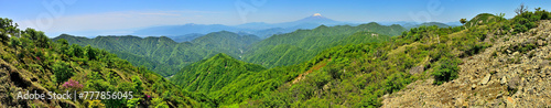 丹沢山地の不動ノ峰からのパノラマ 緑の山地と富士山 