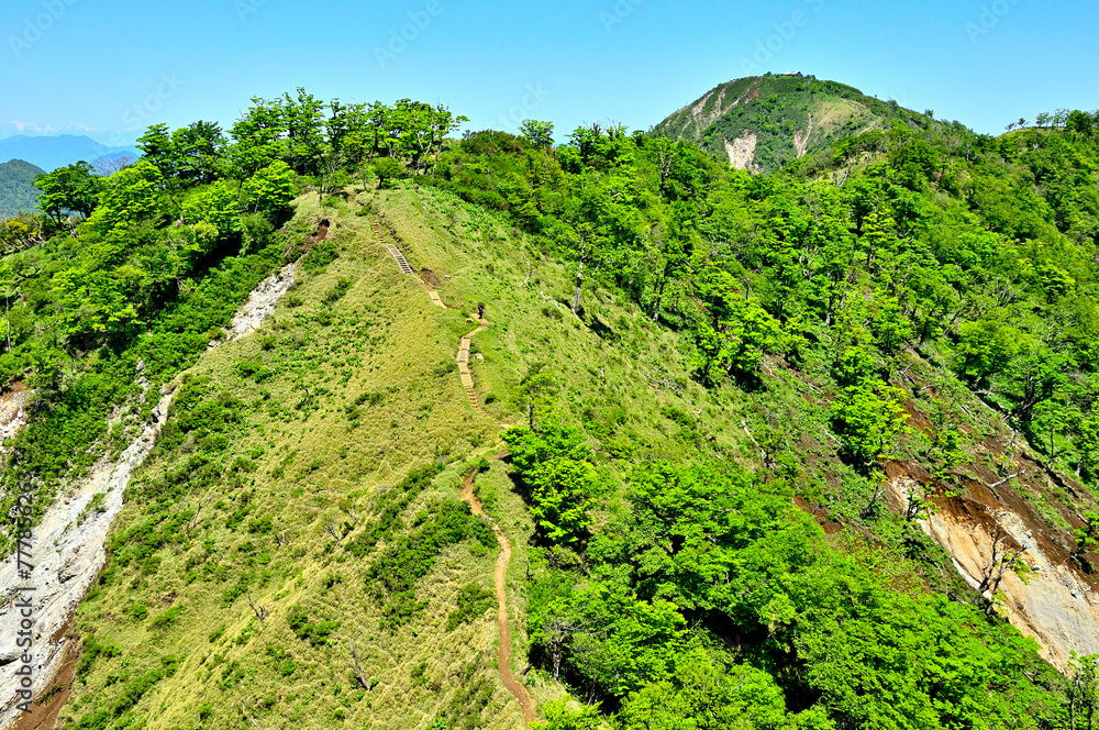 Fototapeta premium 丹沢山地の不動ノ峰より 緑の丹沢主脈に蛭ヶ岳を望む 