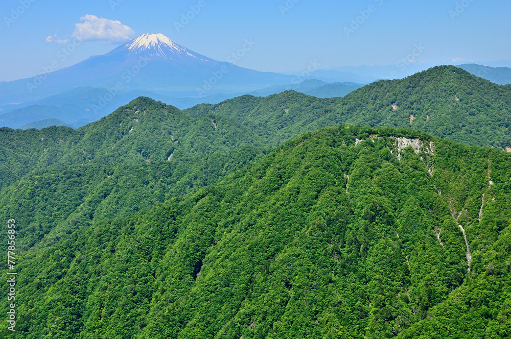 丹沢山地の棚沢ノ頭山頂より初夏の富士山と西丹沢を望む
