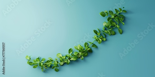 A green leafy plant is shown in a curved line on a blue background