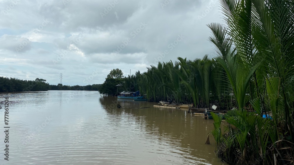 Nipa palm forest on the riverside, Kera-kera dock, Lakkang island, Makassar, South Sulawesi Nipa palm forest on the riverside, Kera-kera dock, Lakkang island, Makassar, South Sulawesi