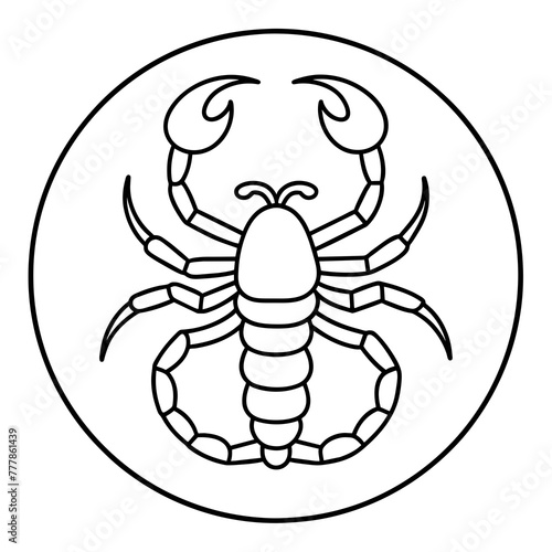 scorpion silhouette isolated on white