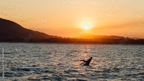 Wallpaper Mural Hump Jump Torontodigital.ca