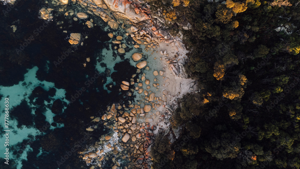 Tasmanian Drone Tasmanian Drone
