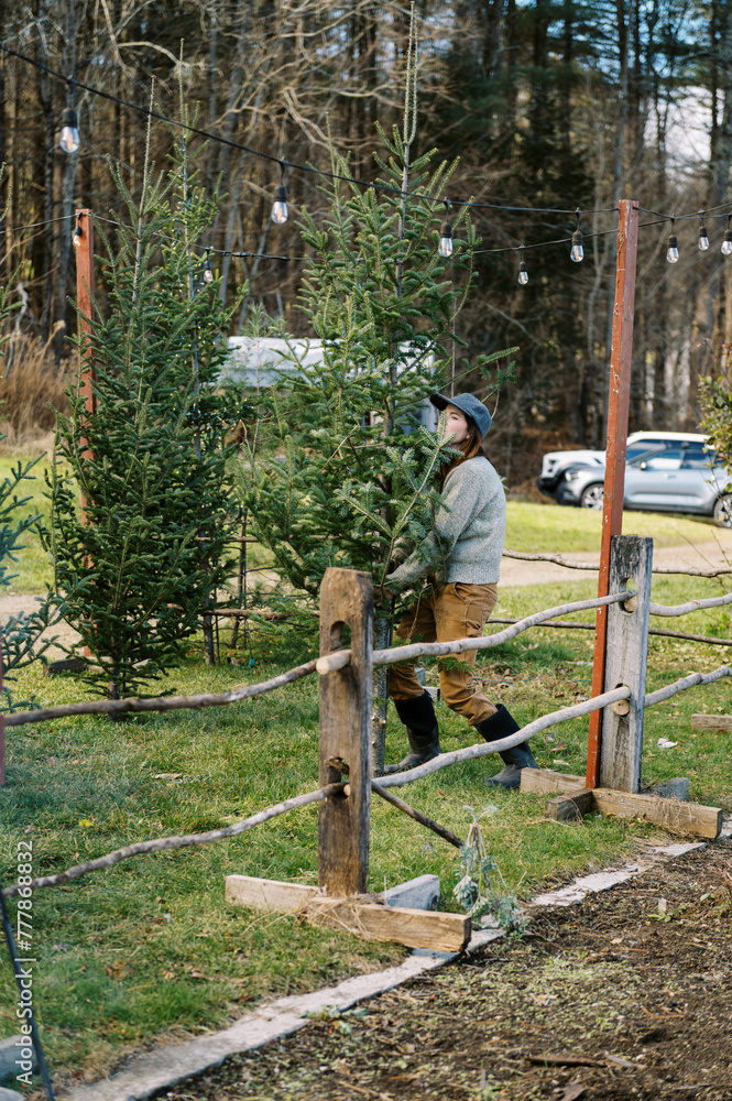 woman farm owner re-stocking cut christmas trees at her store woman farm owner re-stocking cut christmas trees at her store