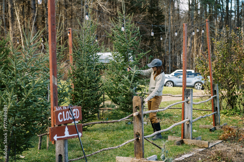woman farm owner re-stocking cut christmas trees at her store woman farm owner re-stocking cut christmas trees at her store