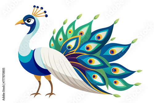 peacock--white-background-vector-illustration