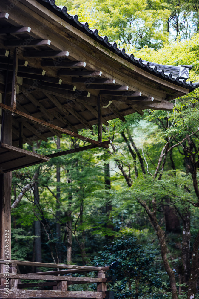 Wooden Japanese Pavilion Amidst Lush Greenery Wooden Japanese Pavilion Amidst Lush Greenery