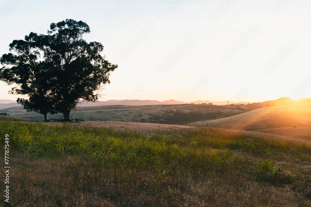 Sunset over Livermore, California Sunset over Livermore, California