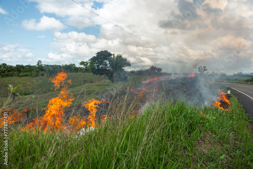 Fire in the Amazon Forest photo