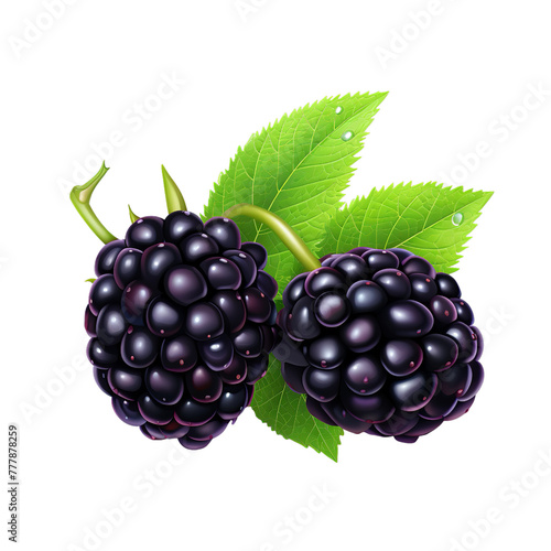 illustration of Blackberry, Isolated on transparent PNG background, Generative ai