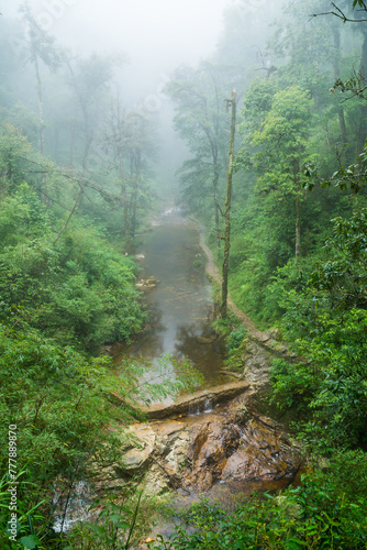 A river running through a misty jungle valley at Sapa in Vietnam
