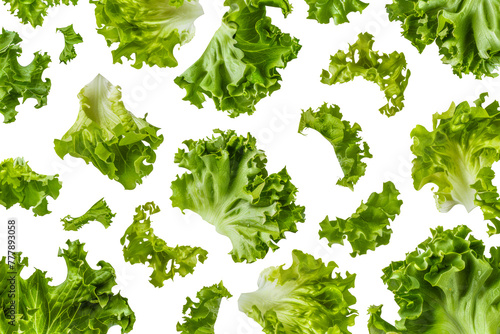 A close up of many pieces of lettuce, cut out - stock png.