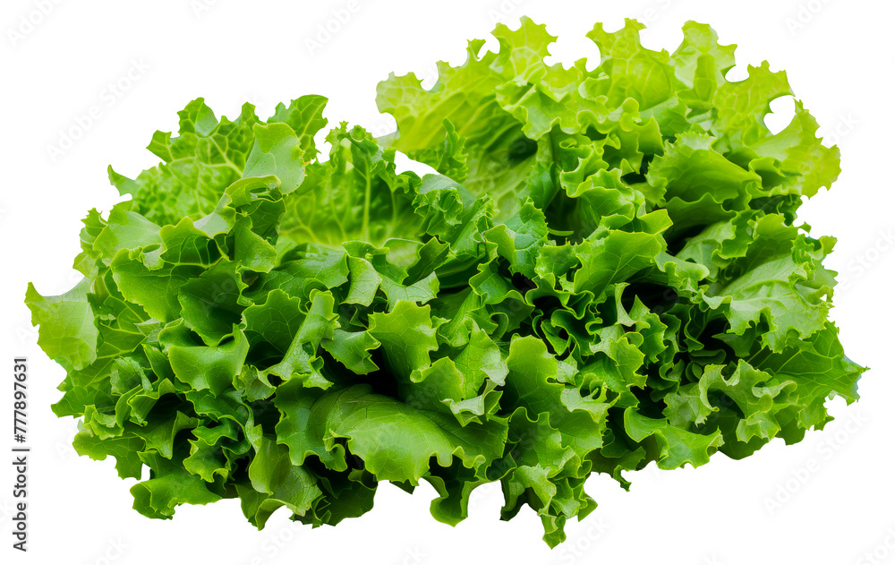 A bunch of green lettuce, cut out - stock png. A bunch of green lettuce, cut out - stock png.