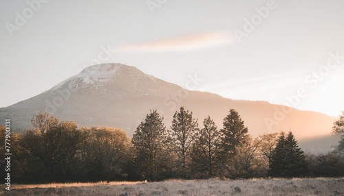 group of trees with a mountain in the background suitable for nature or landscape themed projects