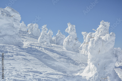 Beautiful Frozen Forest Covered With Powder Snow As Snow Monsters At Mount Zao Range, Zao Juhyo Festival, Yamagata , Japan 