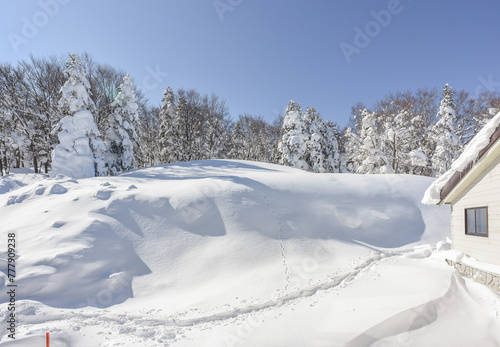 Beautiful Frozen Forest Covered By Powder Snow On The Ropeway To The Hill Of Mount Zao Range, Zao Juhyo Festival, Yamagata , Japan photo