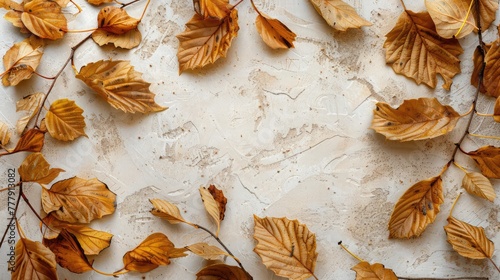 Autumn composition background . Close-up of tree branch with dried golden leaves with empty center for text .Top view, copy space, flat lay .leaf, leaves on white background