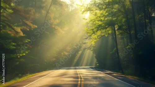 Sunlight filters through the new leaves of the trees creating a soft glow over the highway and giving a sense of renewal and hope . AI generation. photo