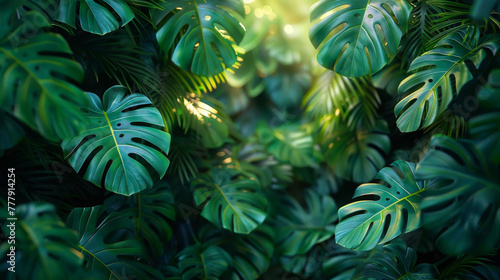 Nature leaves, green tropical forest, backgound illustration concept.