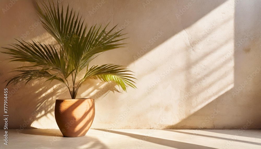 minimal product placement background with tropical palm in clay pot and shadow on concrete wall luxury summer architecture interior aesthetic modern summer mockup design