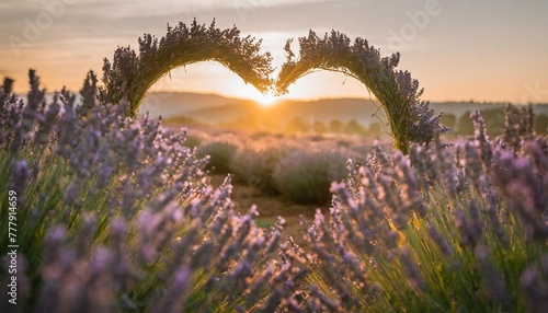 lavender flowers forming a heart shape photo