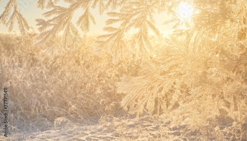 frost patterns on frozen winter window as a symbol of christmas wonder christmas or new year background
