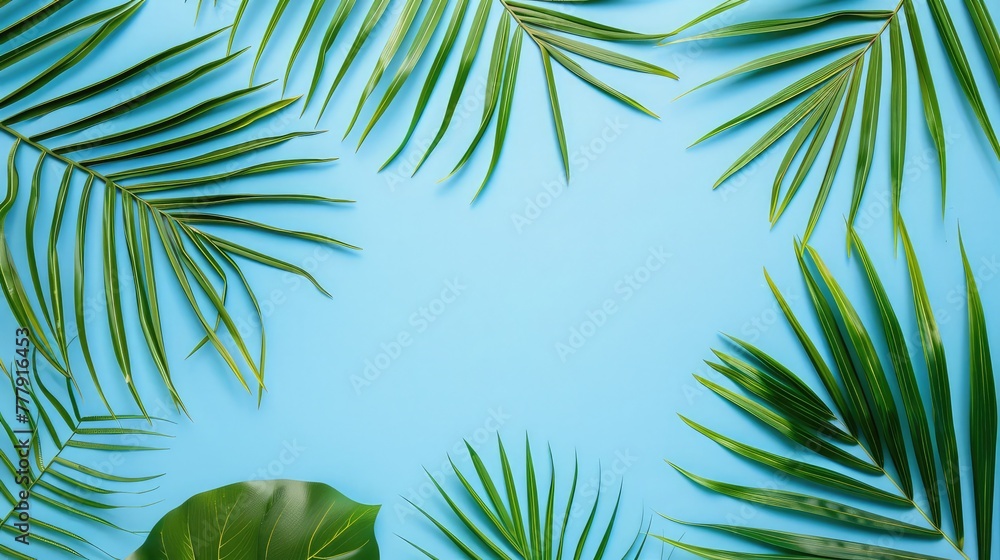 Minimal summer concept. Top view green leaf on punchy pastel paper. Creative flat lay with copy space. Tropical palm leaves on blue background,Palm leaves on blue background.
