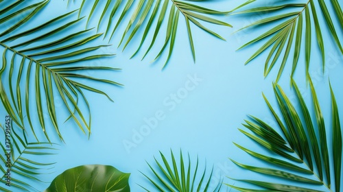 Minimal summer concept. Top view green leaf on punchy pastel paper. Creative flat lay with copy space. Tropical palm leaves on blue background Palm leaves on blue background. 